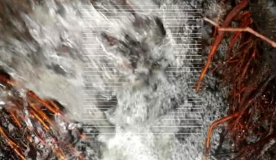 1. IMG_20240102_1258.jpg