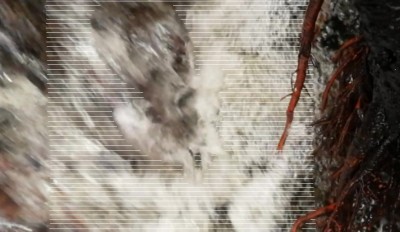 4. IMG_20240108_0920.jpg