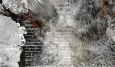 6. IMG_20240113_0912.jpg