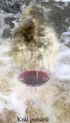 IMG_Král pohárů.jpg