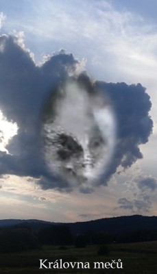 IMG_Královna mečů.jpg